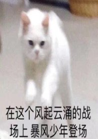 c位萌宠