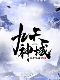 九天神戒小说